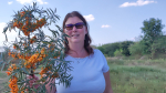 Kurz cidery