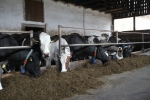 Exkurze Najdi si sv�ho farm��e