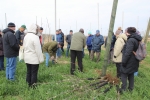 Kurz v�sadby a �ezu strom�