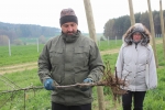 Kurz v�sadby a �ezu strom�