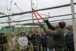 Kurz v�sadby a �ezu strom�