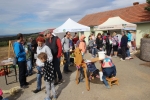 Slavnosti jablek 2019